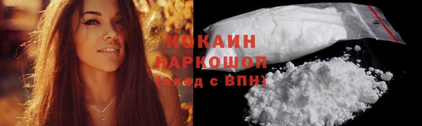 бошки Протвино
