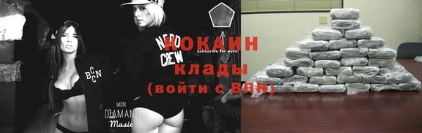 шишки Пролетарск