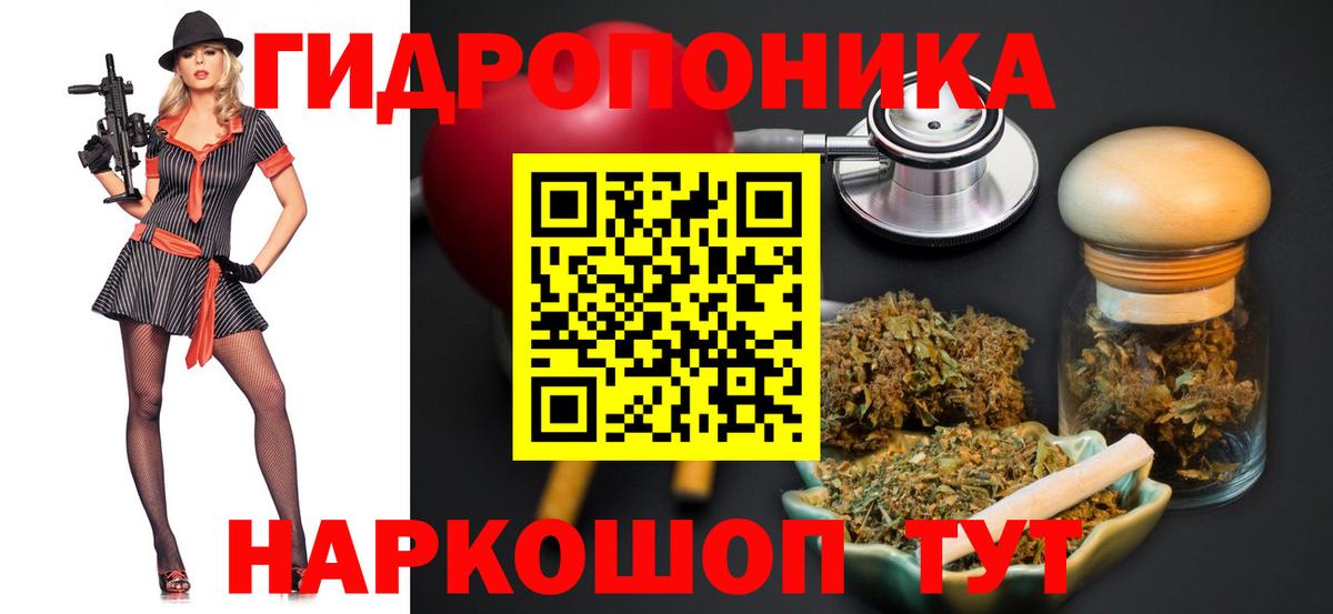 МАРИХУАНА сатива Сарапул